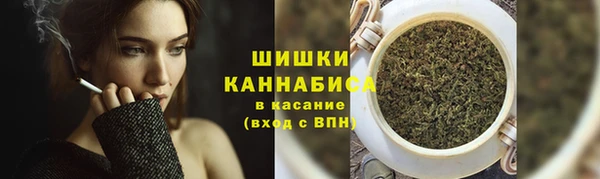 гидра Арсеньев