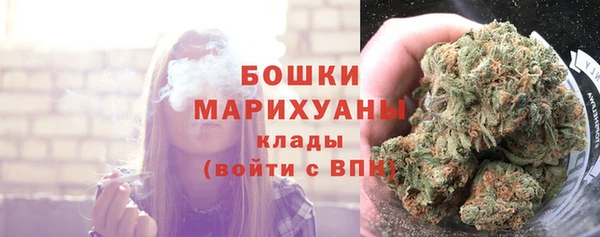 гидра Арсеньев
