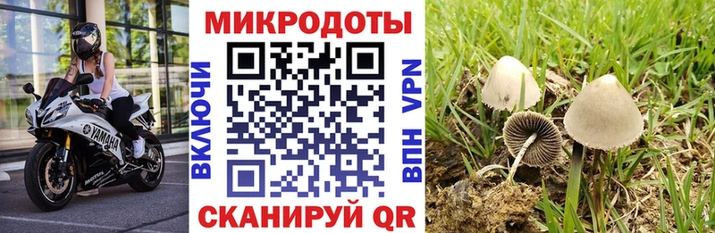 Галлюциногенные грибы мухоморы  даркнет сайт  Пустошка 